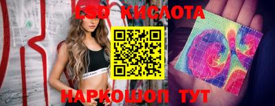 гидропоника Славгород