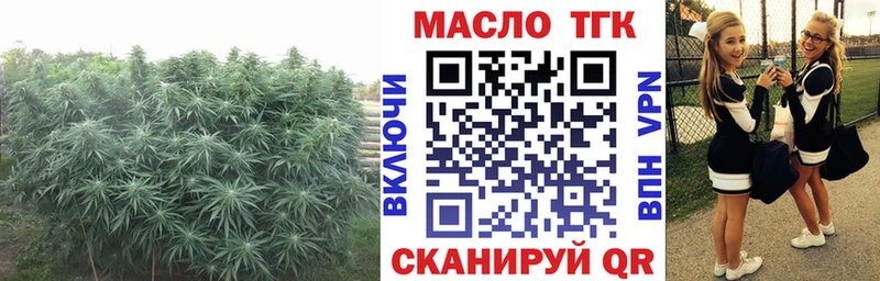 где продают наркотики  Тверь  ТГК THC oil 