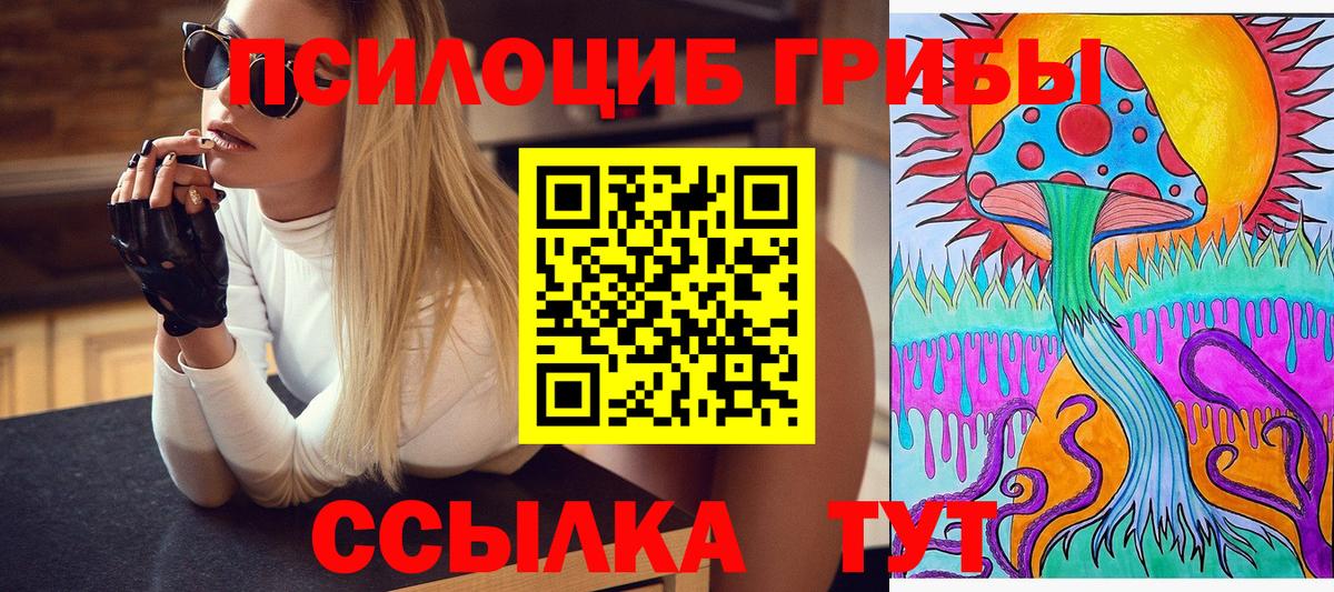 Галлюциногенные грибы GOLDEN TEACHER  Вход с VPN  Тверь 