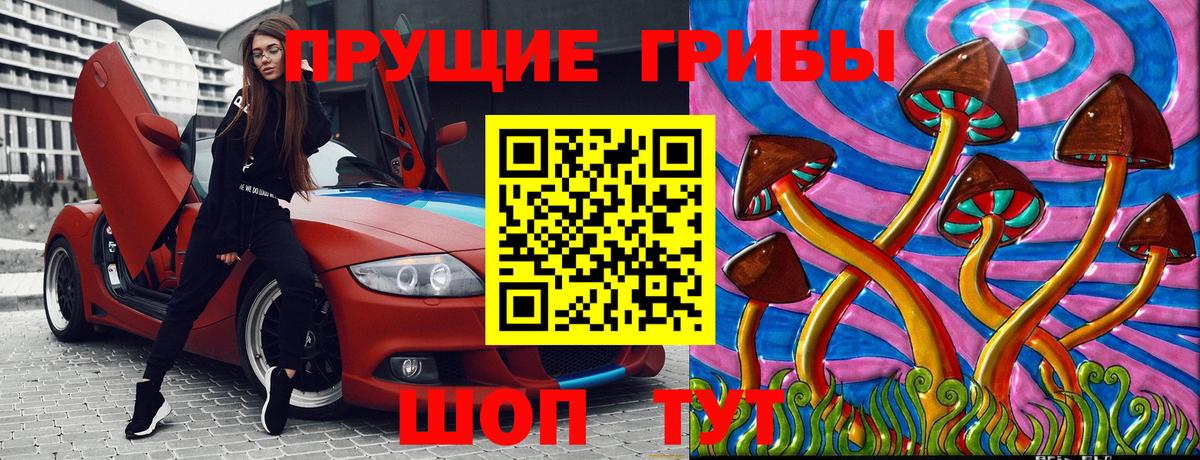 Псилоцибиновые грибы мицелий Тверь